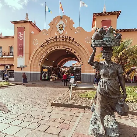 Palmeras Puertito de Guimar
